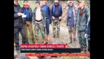 BAFRA DA YABAN DOMUZU SÜREK AVI  TRT YAYINI