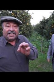ÇEKİM HATASI