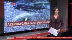 Mersin balığı İhracatı