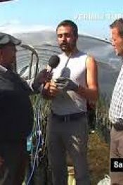 CEVİZ AŞILAMA ÖZGÜR YEL