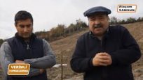 CEVİZCİLİK GELECEK VADEDİYOR.