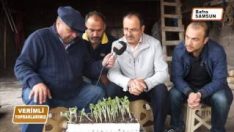 TOHUMDAN SEBZE FİDESİ YETİŞTİRİCİLİĞİ 08 01 2017 bölüm 2