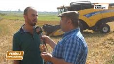 OVADA İLK KİNOA EKİMİ HASADI YAPILDI