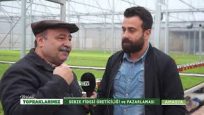 FİDE YETİŞTİRİCİLİĞİ VE PAZARLAMASI