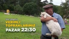 KÖYDE HAYAT VAR.