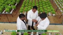 SERADA ALTERNATİF ÜRETİM TOPRAKSIZ TARIM