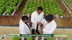 SERADA ALTERNATİF ÜRETİM TOPRAKSIZ TARIM