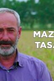 ÇELTİK ÜRETİMİNDE EZBER BOZULDU (Damla Sulama ile Çeltik Üretimi)