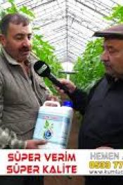 Bu ayda Kavun Üretiyor