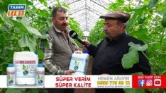 Bu ayda Kavun Üretiyor