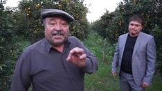 ÇEKİM HATASI
