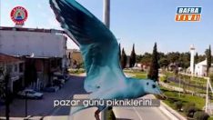 FEDAKAR BAFRA 2020