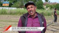 SEBZE ÜRETİCİSİ BİLGİÇ, DAMLA SULAMA İLE ÇELTİK ÜRETİMİNE BAŞLADI 2020