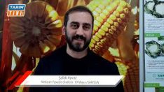 AŞIRI YAĞİŞLAR FASULYE EKİMİNİ GECİKTİRİYOR