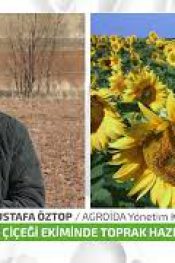 Ayçiçeği Ekiminde Toprak Hazırlığı ve Uygulamalar