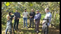 Fındık üreticilerinin dikkatine!