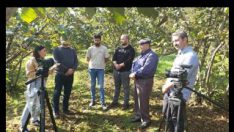 Fındık üreticilerinin dikkatine!
