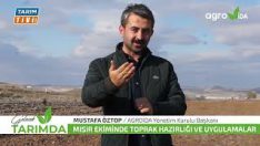 Mısır Tarlası Toprak Hazırlığı ve Uygulamaları