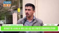 BENGÜ GÜREŞLERİNE DAVET