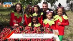 Dürtmen Yaylası 2. Çilek Festivali yapıldı