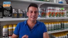 FINDIK AĞAÇLARINIZI KIŞ UYKUSUNA HAZIRLAYIN!..