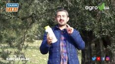 VERİMSİZ AĞAÇ YOKTUR BAKIMSIZ AĞAÇ VARDIR!