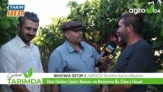 ERKEN ÜRETTİ FİYATI KENDİ BELİRLEDİ