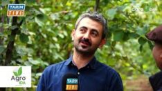 Fındık Üreticisinin dikkatine!