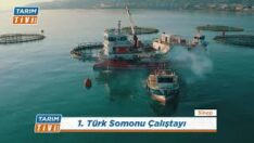 1. TÜRK SOMONU ÇALIŞTAYI İBRAHİM SAĞLAM
