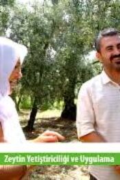 İZNİKLİ ZEYTİN ÜRTİCİSİ SON ANDA ZARARIN EŞİĞİNDEN DÖNDÜ