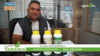 MUSTAFA TOPALBEKİROĞLU AGROİDA KİLİS BAYİSİ OLDU
