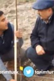 CEVİZ FİDANI DİKİMİNİN PÜF NOKTASI VERİMLİ TOPRAKLARIMIZ BLM 2 12,11,2017