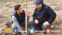 CEVİZ FİDANI DİKİMİNİN PÜF NOKTASI VERİMLİ TOPRAKLARIMIZ BLM 2 12,11,2017