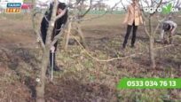 CEVİZ ve ELMA’DA YAŞANAN SORUNLARI NASIL ÇÖZDÜ?