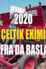 Damla Sulama ile Çeltik Ekimi için bakın ne dediler? Bafra Ovası