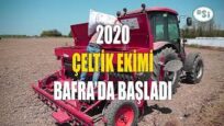 Damla Sulama ile Çeltik Ekimi için bakın ne dediler? Bafra Ovası
