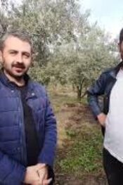 Zeytin Üreticisi Saruhanlı Muzaffer bey bakın ne dedi?