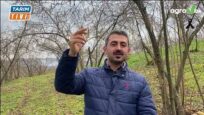 Bu uygulamayla yüzde 40 verim ve randıman artışı ile birlikte masrafları yüzde 30 düşürüyor.