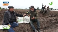 Bu uygulamada toprakaltı gübre kullanılmıyor!