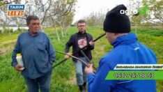 BUDAMADA MACUNUN ÖNEMİ