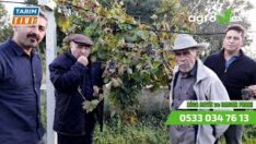 CEVİZ ve ELMA ÜRETİCİSİ İBRAHİM ARSLANMİRZA BAKIN NE DEDİ?