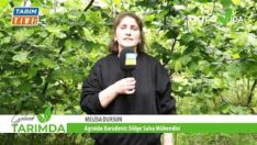 MELİSA SAHA SORUMLUSU