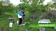 ZİRAATCI MELİSA, “ELMA, ARMUT ve YUMUŞAK ÇEKİRDEKLİLER İÇİN GÜBRELEME DÖNEMİ GELMİŞTİR