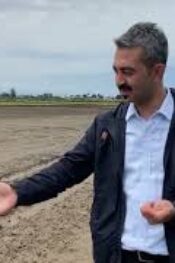 Çeltikte verimi yüksek ürün almak istiyorsanız, hazırladığımız programa göz atın!
