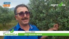 ÇİFTÇİ KÖKEN, “BAKIN NE DEDİ ?