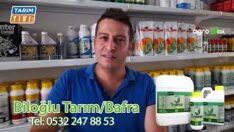 DOĞRU BİLDİĞİMİZ YANLIŞ