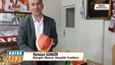 SOĞUK ve DİLİMLENMİŞ KARPUZ