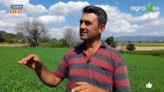 YONCA ÜRETİCİSİ AKIN DURMAZ, “BÖYLE BİRŞEY GÖRMEDİM”