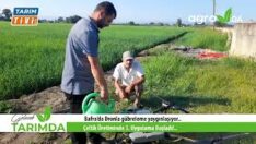 ÇELTİKTE ÜÇÜNCÜ UYGULAMA BAŞLADI