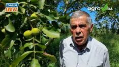 SICAKLARDAN SIFIR ZARARLA NASIL KURTULDUĞUNU AÇIKLADI.